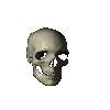 skull.gif (2509 bytes)